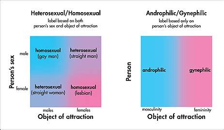 gynesexual|Androphilia and gynephilia